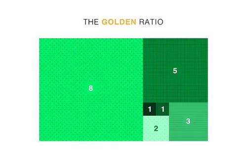 黄金比例是怎么算的（黄金分割比例解析）