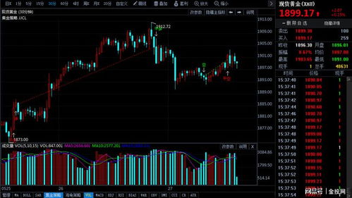 金店鉴定黄金怎么收费（黄金鉴定费用解析）