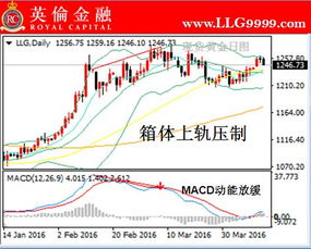 英伦皇室黄金质量如何,英伦皇室黄金价格走势