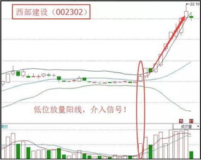 纸黄金跌势如何把握,纸黄金买入时机选择