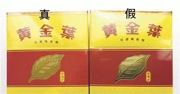 黄金叶黄金眼真的有效吗？黄金叶黄金眼使用方法详解