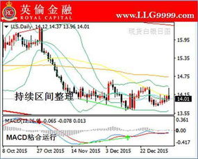 白银1怎么上黄金（白银投资黄金的技巧）