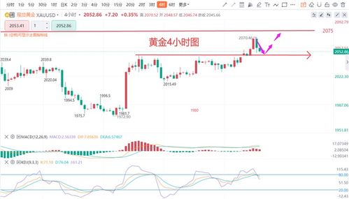 相思结黄金价格行情,相思结黄金购买指南