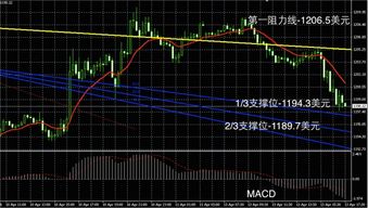 hk黄金怎么样（hk黄金投资分析）