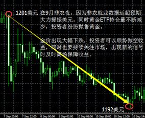 黄金低位买入收益怎么算（黄金投资收益计算方法）