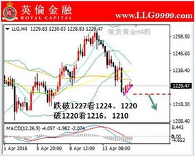 怎么分析黄金行情（黄金交易的技巧与方法）