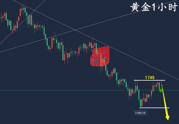 怎么收拾黄金鲅（黄金鲅的清理和处理方法）