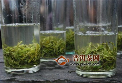 保靖黄金茶口味怎么样,保靖黄金茶品质如何