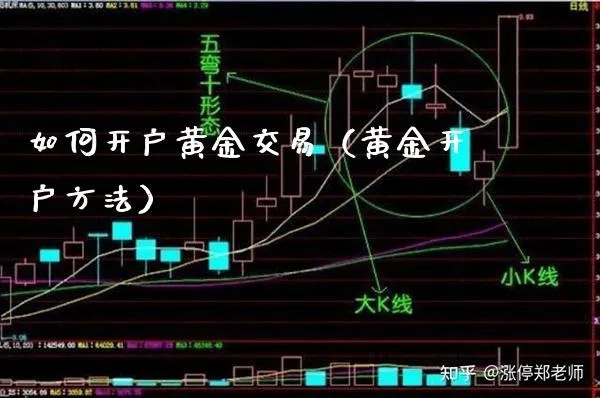 东方财富现货黄金开通教程，东方财富黄金交易入门指南