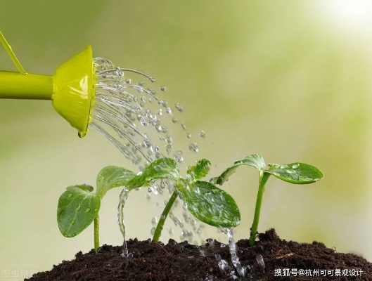 春季黄金期怎么增高（春季植物生长技巧）