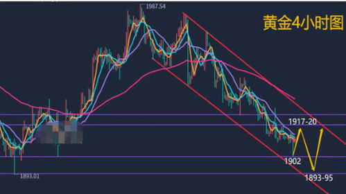 怎么判断黄金的价格趋势（黄金价格走势分析与预测）