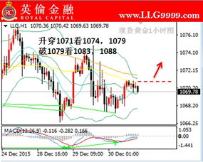 平台现货黄金购买攻略,玩转现货黄金交易技巧