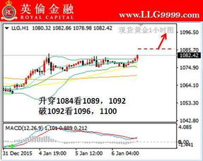 平台现货黄金购买攻略,玩转现货黄金交易技巧