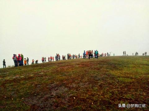 光遇黄金剪影怎么去（黄金剪影获取攻略）