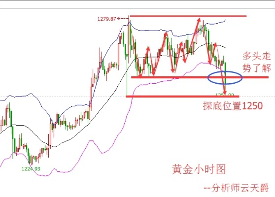 现货黄金放量怎么看,现货黄金交易策略分享