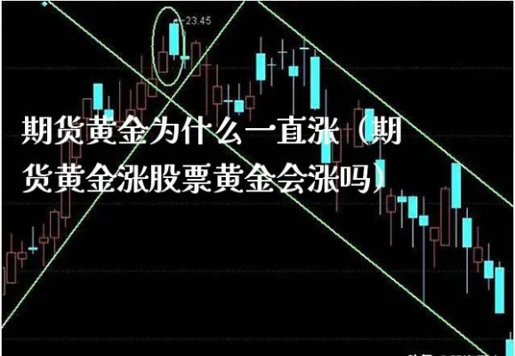 黄金股票为何今日未上涨,黄金投资策略分析