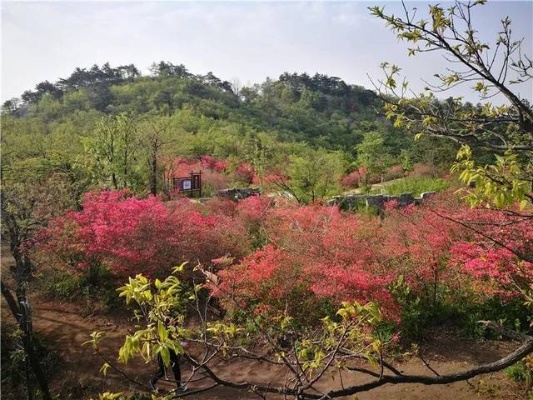 黄金塘山顶花园门票价格及开放时间查询