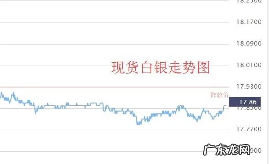 黄金白银TD开户步骤详解，黄金白银TD开户条件要求