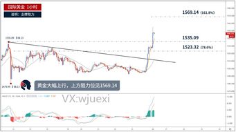 黄金走高怎么看,黄金价格走势分析及投资建议