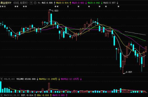 黄金股票明细怎么看（教你如何分析黄金股票的详细数据）