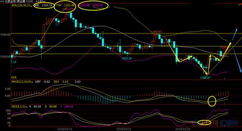期货外汇炒黄金技巧,期货外汇黄金交易详解