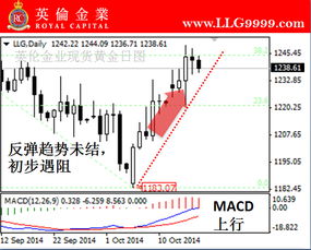 黄金双向交易盈利技巧详解，黄金双向交易策略分享