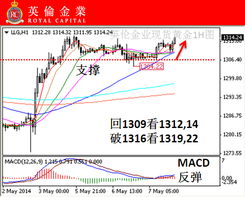 黄金双向交易盈利技巧详解，黄金双向交易策略分享