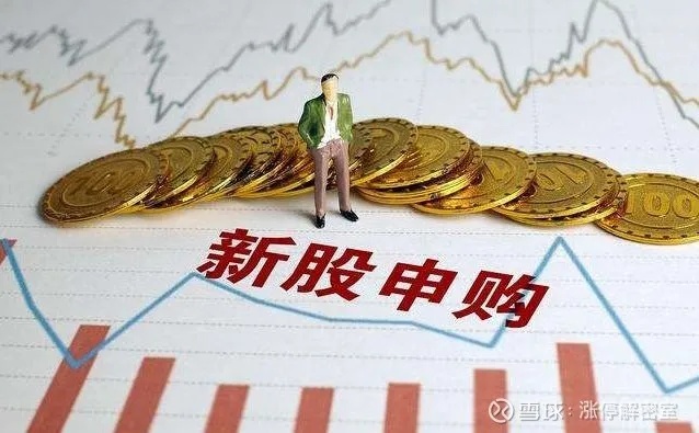 黄金外汇怎么打新股（新股申购技巧分享）