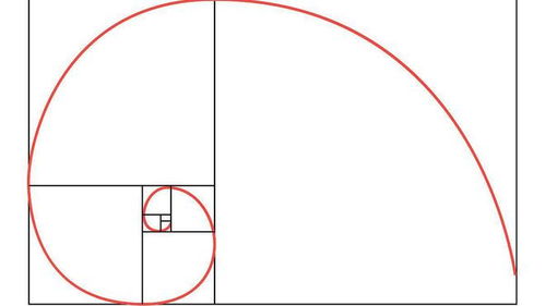 黄金比0.618怎么画（黄金分割比例的绘制方法）