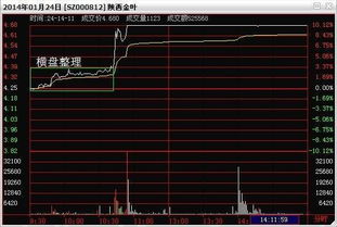 分时黄金怎么看（掌握分时行情分析技巧）