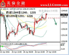 黄金怎么看趋势（黄金价格走势分析及投资建议）