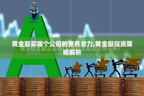 黄金股买哪个公司的更有潜力,黄金股投资策略解析