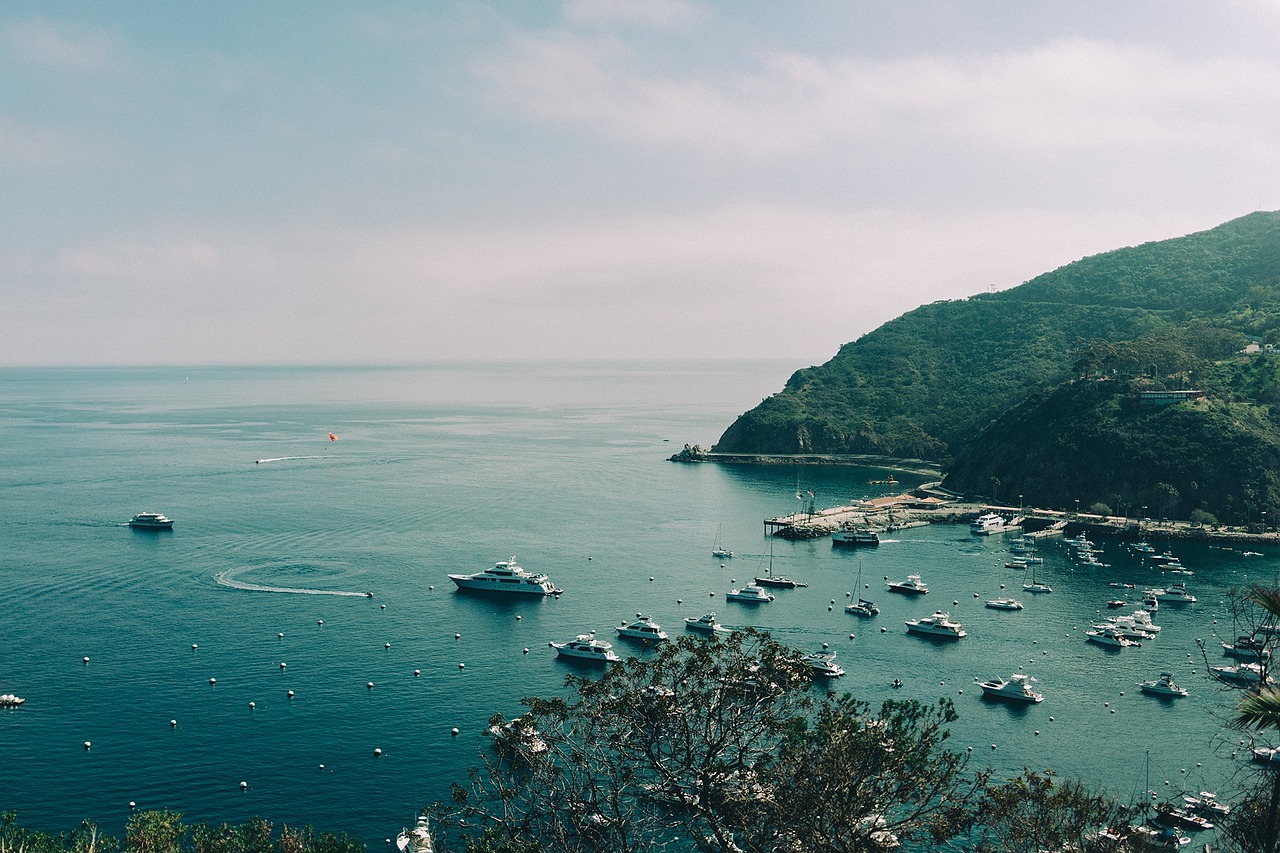 黄金游轮上班体验，奢华航程中的职业之旅