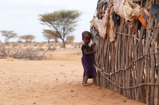 全球连线 | 肯尼亚遭遇40年最严重干旱 超400万人面临粮食短缺