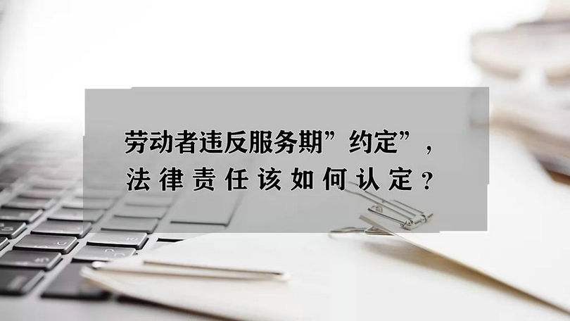 法律事实认定(法律事实认定方法论文)