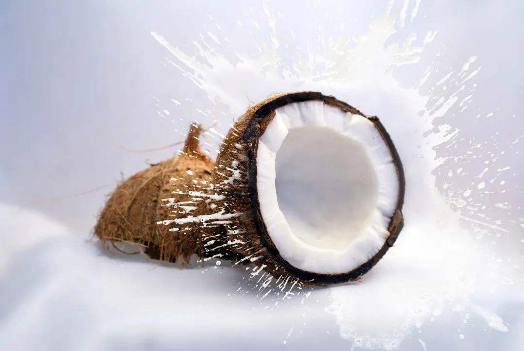 产妇椰子(产妇椰子肉能直接生吃吗)