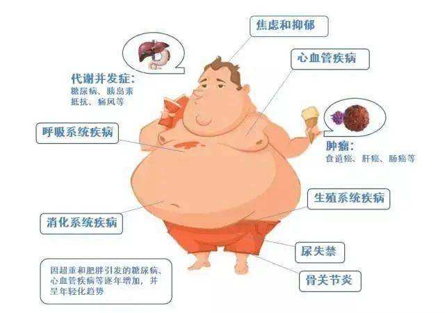 肥胖是疾病(肥胖是疾病引起的吗)