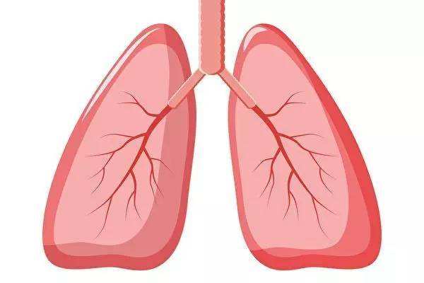 肺的疾病(肺的疾病先后变化)