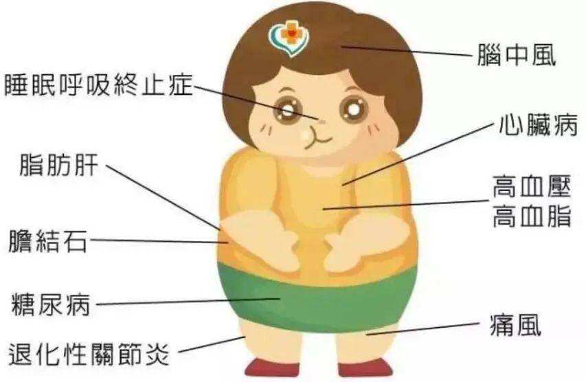 肥胖引发的疾病(肥胖引发的疾病不包括)