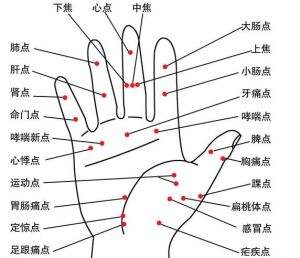 手掌与疾病(手掌与疾病的关系)