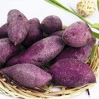 产妇能吃紫薯吗(产后可以吃紫薯吗)