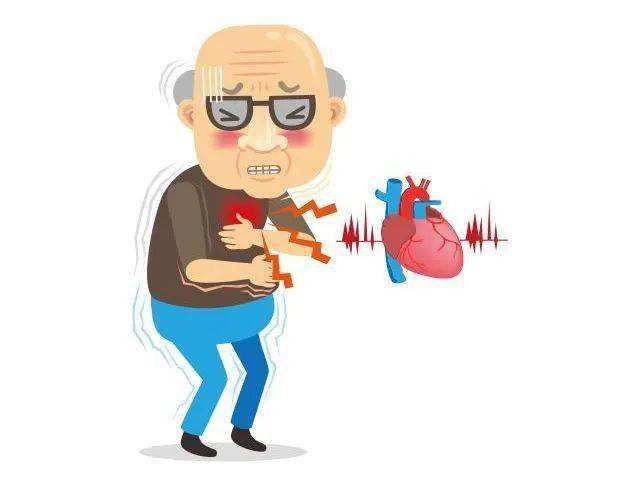 什么是心脑血管疾病(什么是心脑血管疾病最根本的原因)