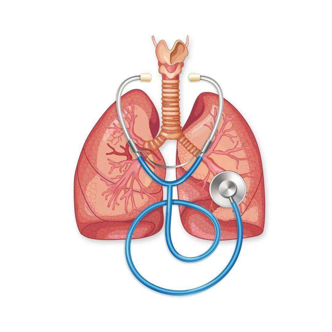 慢性呼吸系统疾病(慢性呼吸系统疾病属于慢性非传染性疾病)
