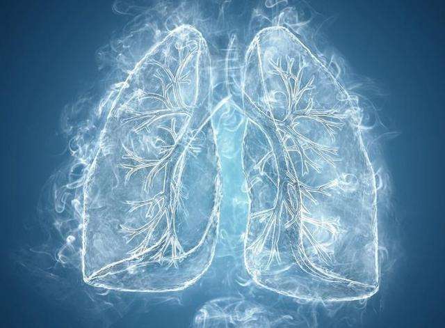 肺部的疾病有哪些(肺部的疾病有哪些图片)