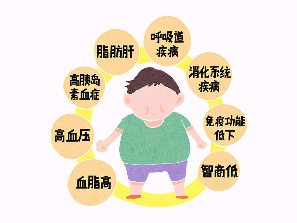 肥胖疾病(肥胖会带来哪些疾病)