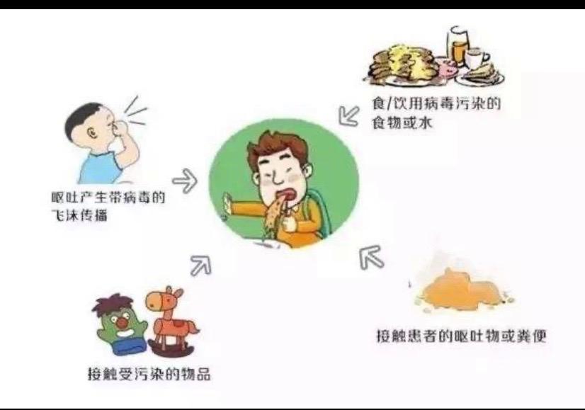 病毒性疾病(病毒性疾病包括哪些)