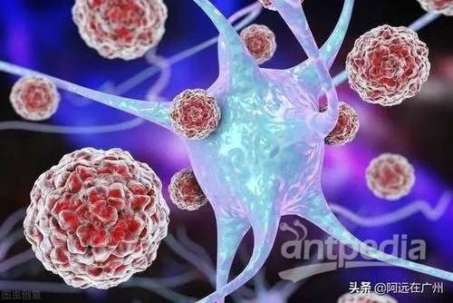 病毒性疾病(病毒性疾病包括哪些)