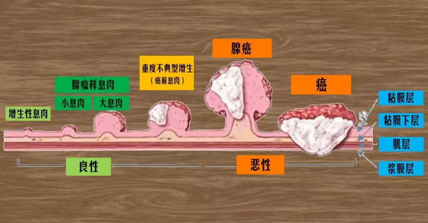 疾病的过程(疾病的过程一般可分为)