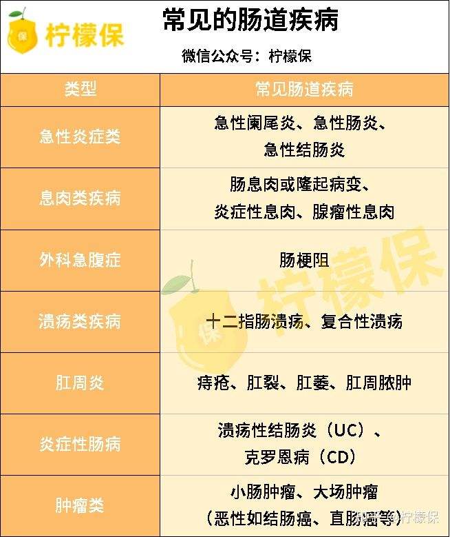 常见的疾病有哪些(眼睛常见的疾病有哪些)