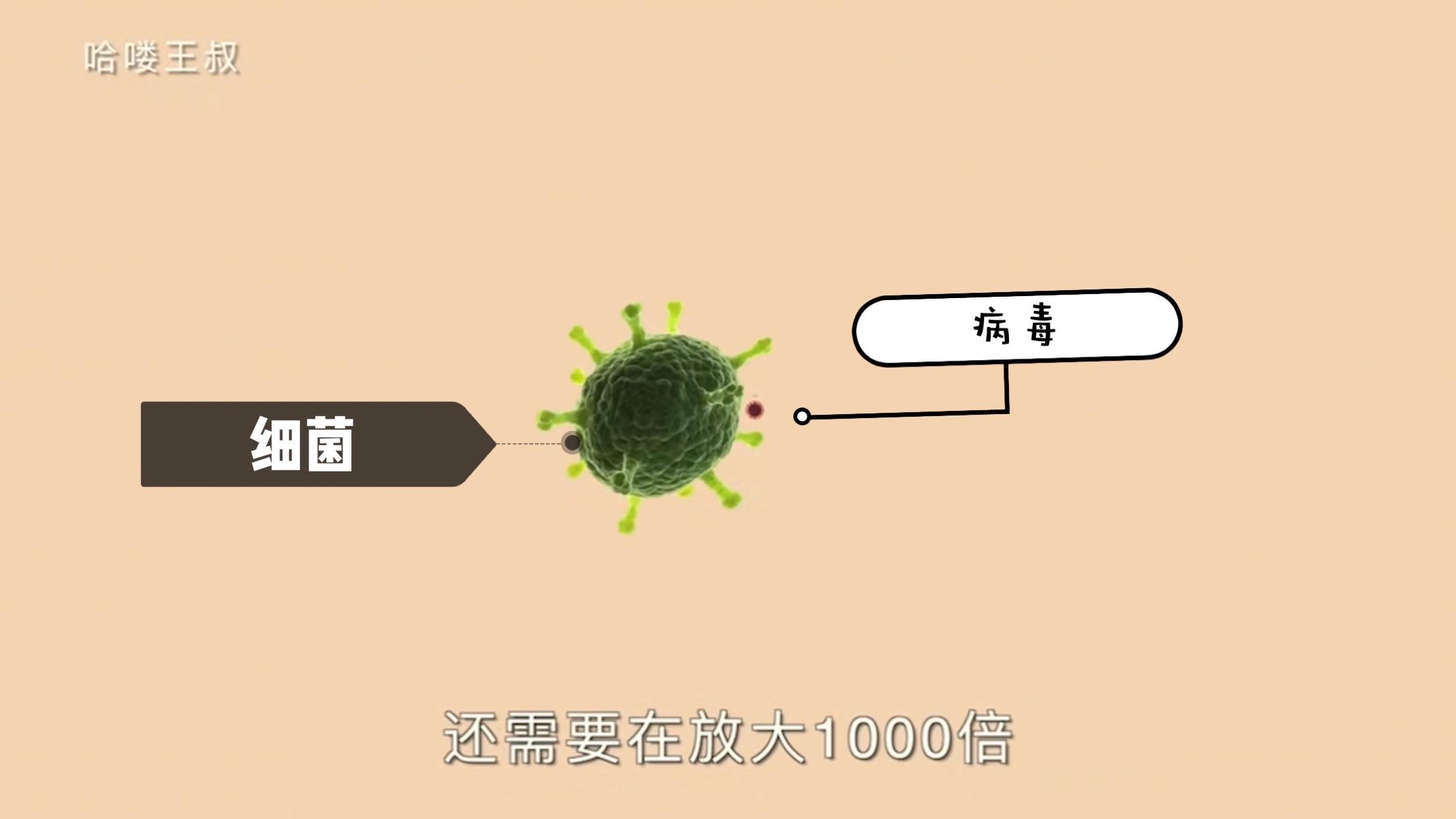 病毒是哪里来的(新型冠状病毒是哪里来的)